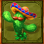 Cactus Cactus